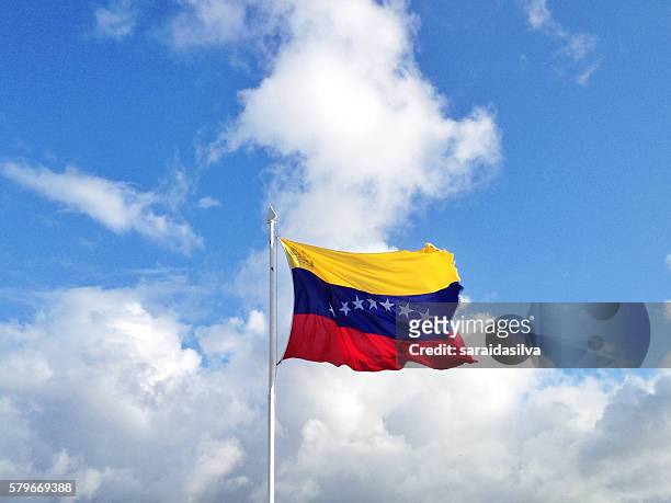venezuelan flag - venezuela fotografías e imágenes de stock