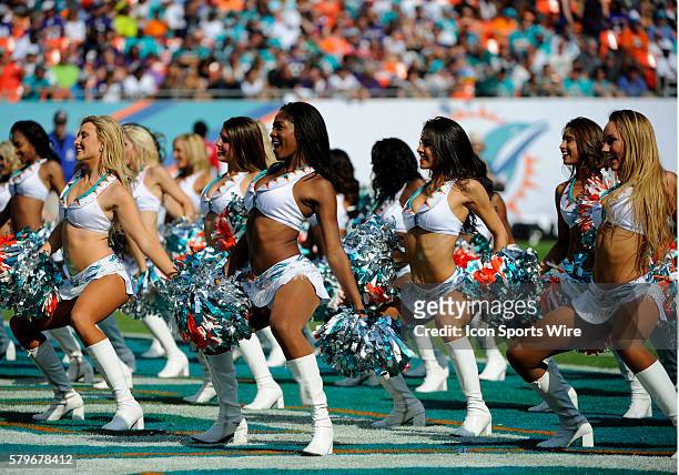 Miami Dolphins cheerleaders dance and perform on the field with their pom poms during the NFL football game between the Baltimore Ravens and the...