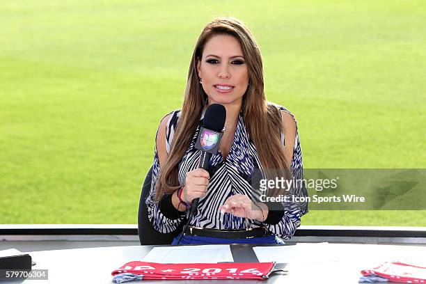 Lindsay Casinelli, a co-host of Univision's Republica Deportiva which aired from the field before the game. The Los Angeles Galaxy played the New...