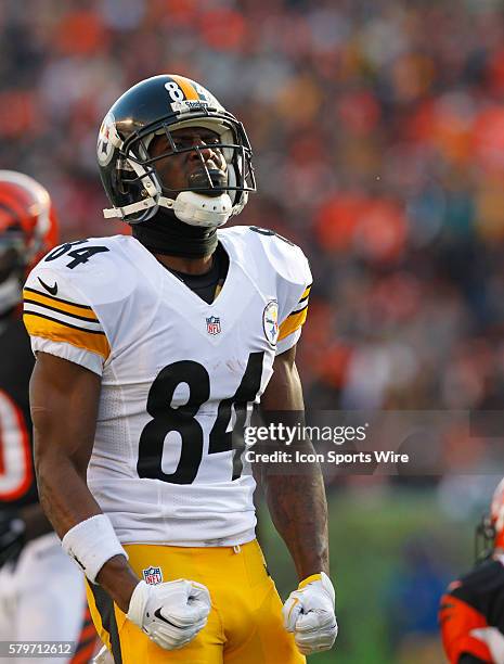 Pittsburgh Steelers wide receiver Antonio Brown reacts after make a first down catch against the Cincinnati Bengals' defense during the second half...