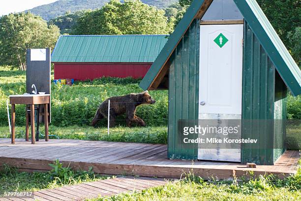 russia - beer pong stockfoto's en -beelden