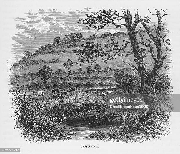 stockillustraties, clipart, cartoons en iconen met thistledon, england in early 18th century victorian engraving, circa 1840 - northamptonshire