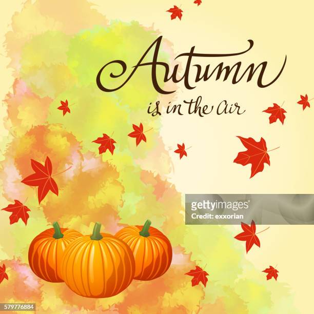 autumn leaves with pumpkins - big mac pumpkin stock illustrations