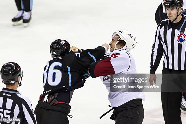 Lake Erie Monsters D Duncan Siemens and Milwaukee Admirals LW Richard Clune fight during the game between the Milwaukee Admirals and Lake Erie...