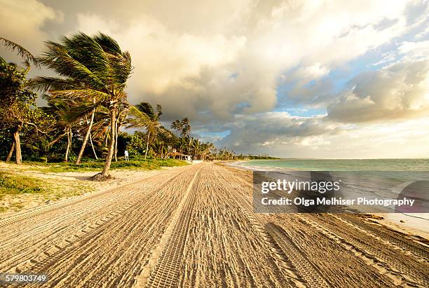 beach in saint lucia - sankta lucia 2015 stock pictures, royalty-free photos & images