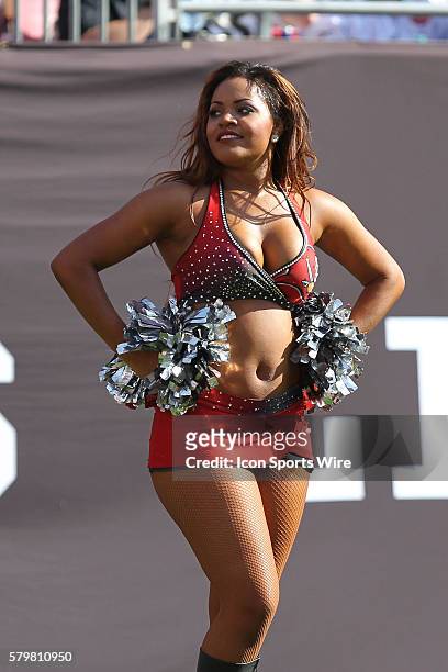Tampa Bay Buccaneers cheerleader during the NFL regular season game between the New Orleans Saints and Tampa Bay Buccaneers at Raymond James Stadium...