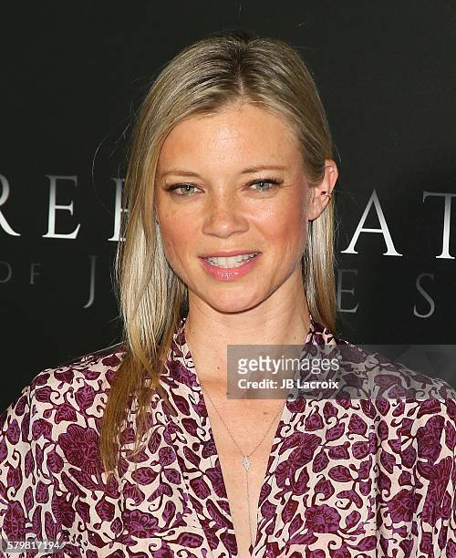 Amy Smart attends the premiere of STX Entertainment's 'Free State of Jones' at DGA Theater on June 21, 2016 in Los Angeles, California.