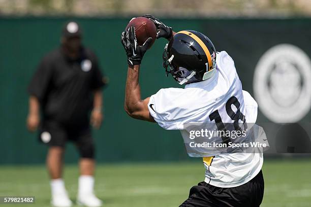 Pittsburgh Steelers wide receiver C.J. Goodwin makes a catch during the 2015 Pittsburgh Steelers Rookie Minicamp at the UPMC Sports Performance...