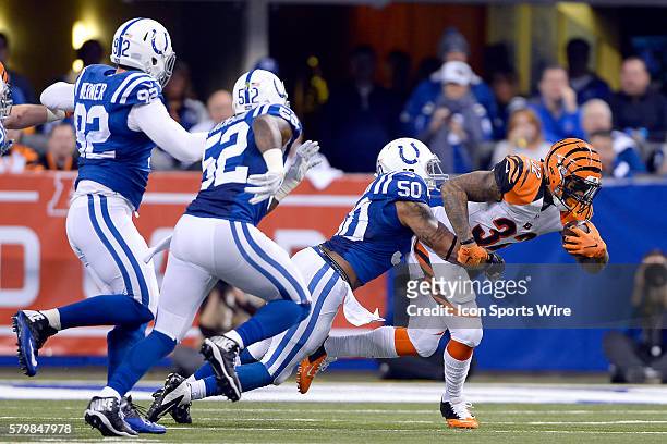 Cincinnati Bengals running back Jeremy Hill battles with Indianapolis Colts inside linebacker Jerrell Freeman in action during the NFL AFC Wild Card...