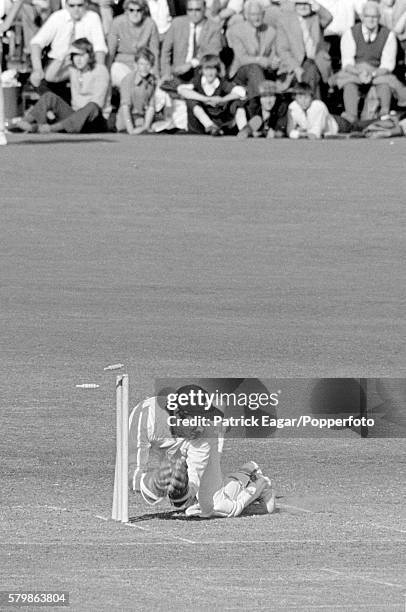 Alan Knott of Kent dives for a run out during the Benson and Hedges Cup Quarter Final between Hampshire and Kent at Southampton, England, 13th June...