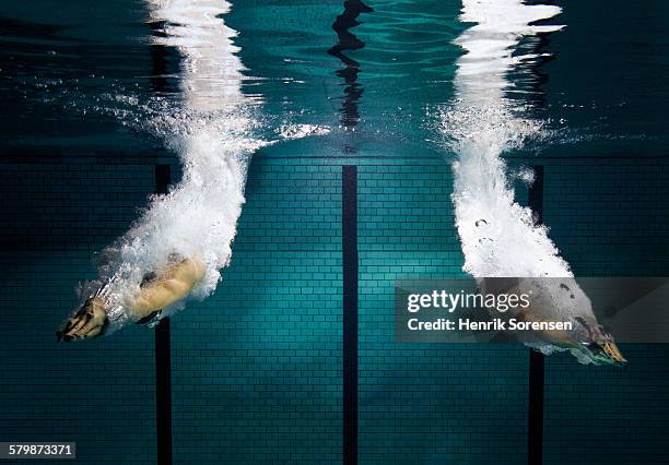 2 swimmers starting - igual fotografías e imágenes de stock
