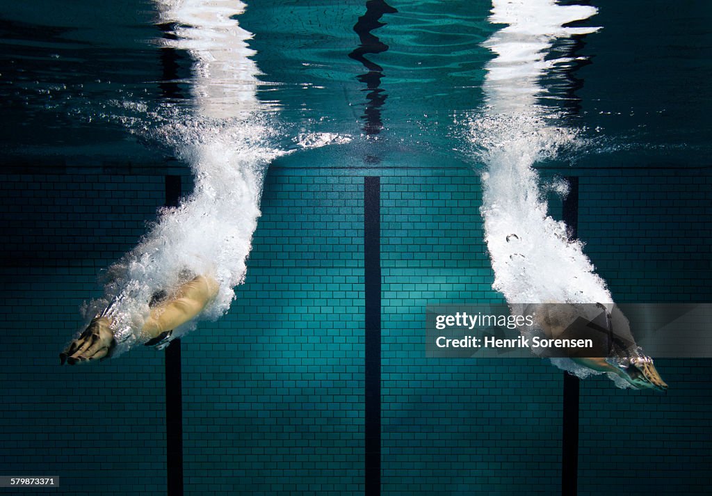 2 swimmers starting