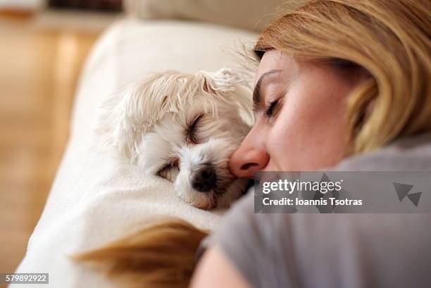 woman sleeping on bed with dog - zen dog stock pictures, royalty-free photos & images