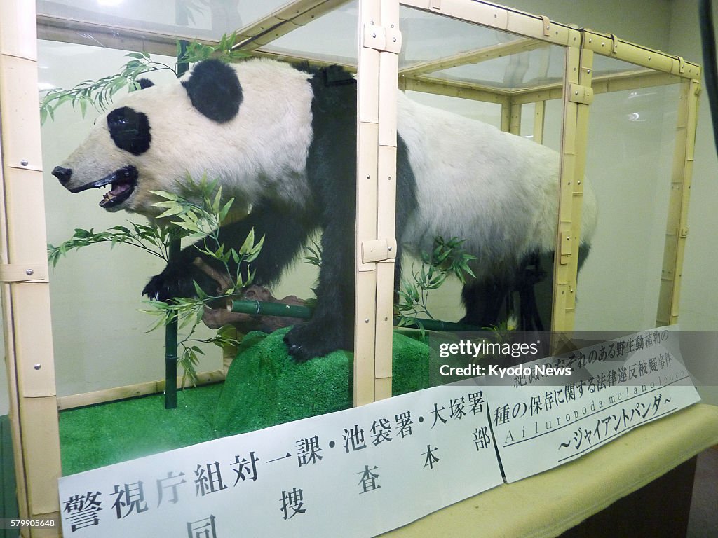 Confiscated stuffed giant panda