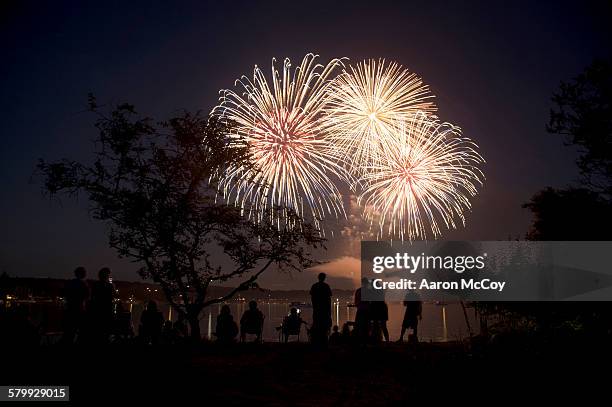 4th of july in the sky - fireworks dusk stock pictures, royalty-free photos & images