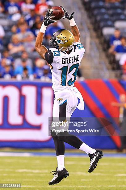 Jacksonville Jaguars wide receiver Rashad Greene makes a catch during the first quarter of the game between the New York Giants and the Jacksonville...