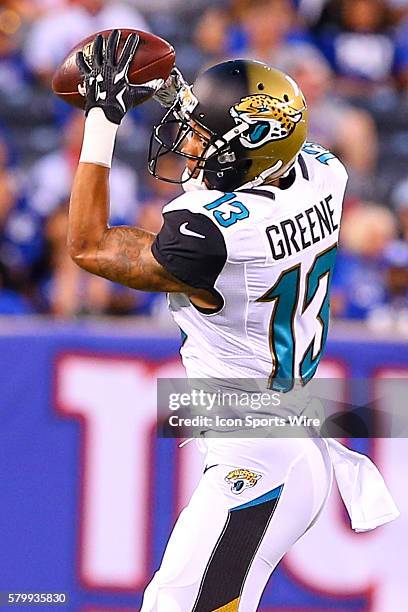Jacksonville Jaguars wide receiver Rashad Greene makes a catch during the first quarter of the game between the New York Giants and the Jacksonville...