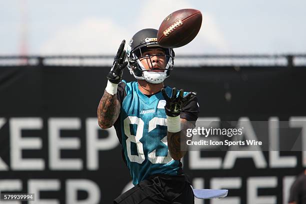 June 9th 2015 - Jacksonville, FL, USA - WR Damian Copeland makes a catch during the Jacksonville Jaguars OTA's held at the Florida Blue Health and...