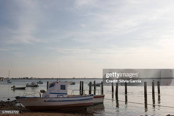 boats in rio guadiana, ayamonte, huelva - trabajar stock-fotos und bilder