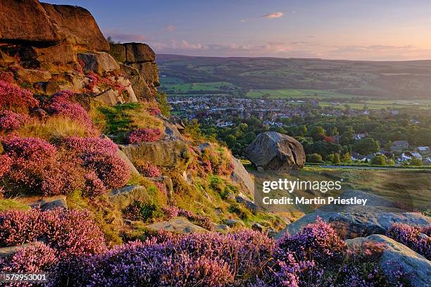 dawn at the cow & calf rocks, ilkley, yorkshire - moor stock pictures, royalty-free photos & images