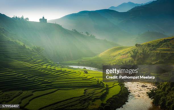 the castle on the hill - rice paddy stock pictures, royalty-free photos & images