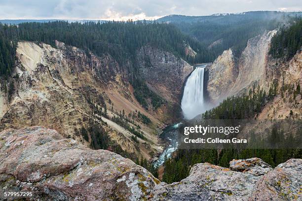 yellowstone lower falls - yellowstone river stock pictures, royalty-free photos & images