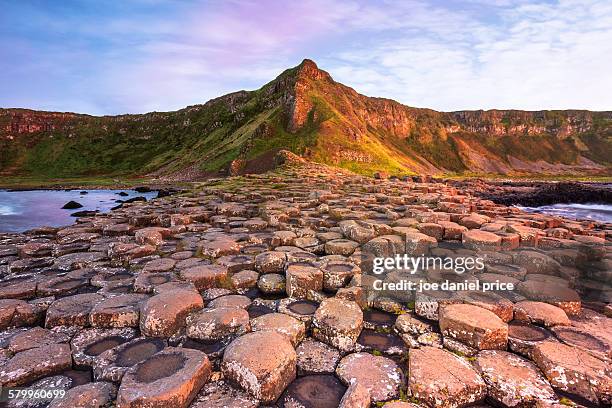 giant's causeway, county antrim, northern ireland - irlande du nord photos et images de collection