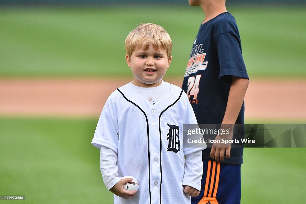 MLB: JUN 15 Reds at Tigers