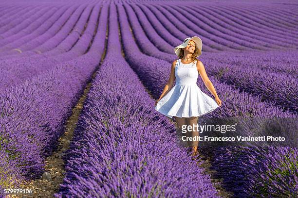woman in white in a lavender field. - plateau de valensole fotografías e imágenes de stock
