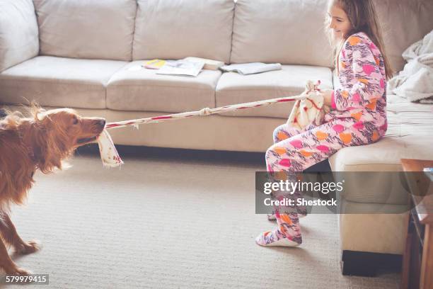 caucasian girl playing with dog in living room - dogs tug of war stock pictures, royalty-free photos & images