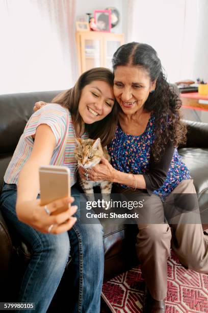 grandmother and granddaughter taking selfie with cat on sofa - cat selfie stock pictures, royalty-free photos & images