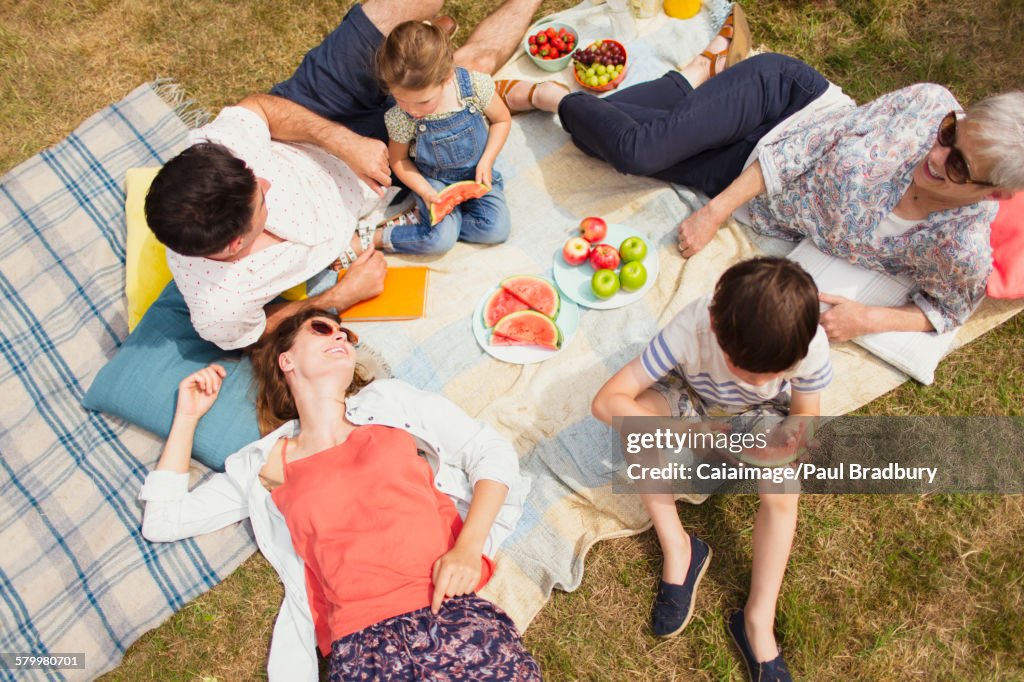 Overhead view multi-generation family enjoying summer picnic