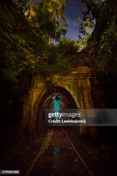 glow worms tunnel - black milk australia stock pictures, royalty-free photos & images