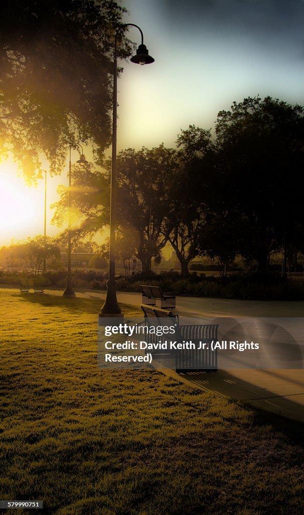 Path