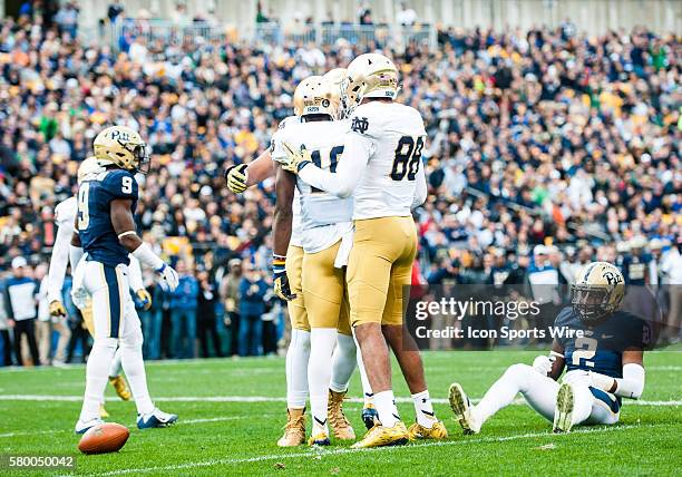 Terrish 40 Terrish Webb Stock Photos, High-Res Pictures, and Images - Getty Images