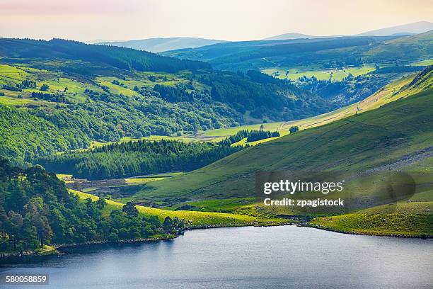 irish landscape - anillo de kerry fotografías e imágenes de stock