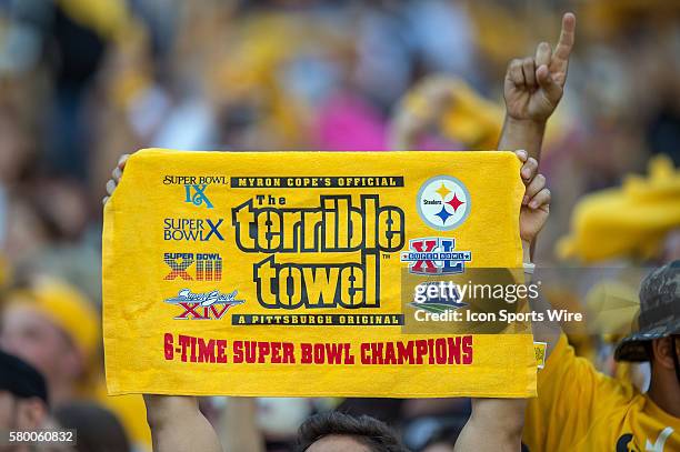 Pittsburgh Steelers fan holds up a Pittsburgh Steelers terrible towel and celebrates in action during a game between the San Francisco 49ers and the...