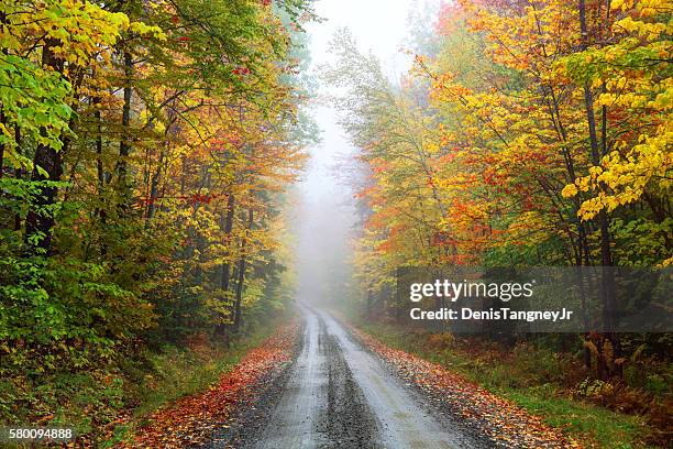 misty autumn road in rural vermont near montpelier - hérault stockfoto's en -beelden