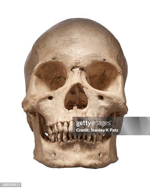 Frint 23 Frint Stock Photos, High-Res Pictures, and Images - Getty Images