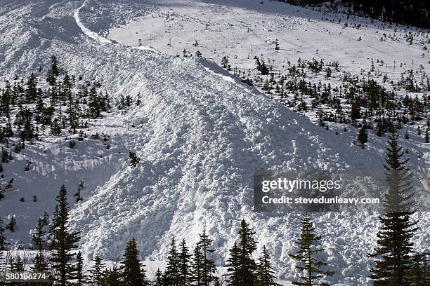 avalanche - lawine stockfoto's en -beelden