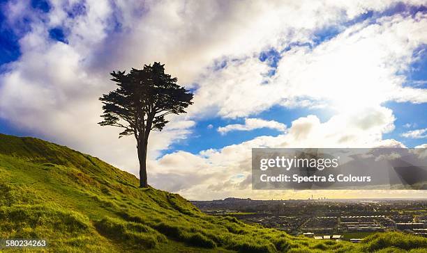 looking west, mt wellington - mt wellington mountain auckland stock pictures, royalty-free photos & images
