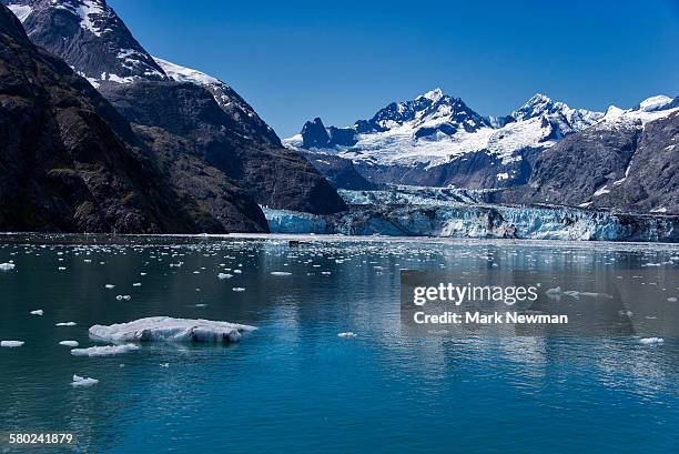 johns hopkins glacier - glacier bay national park stock-fotos und bilder
