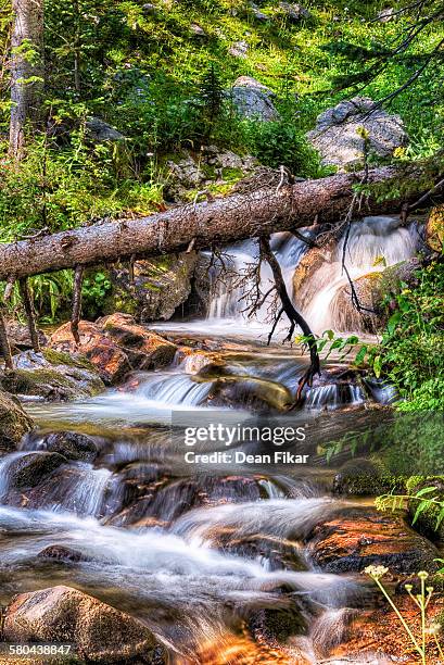 boulder creek on a sunny summer day - dean holland stock pictures, royalty-free photos & images