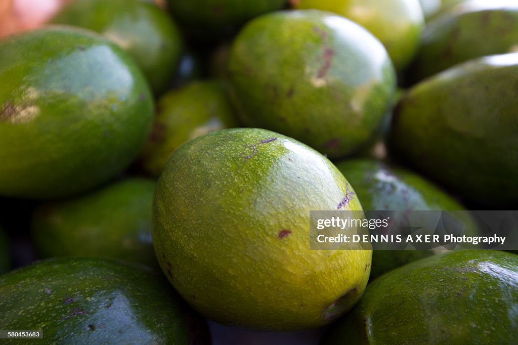 Organic Avocados