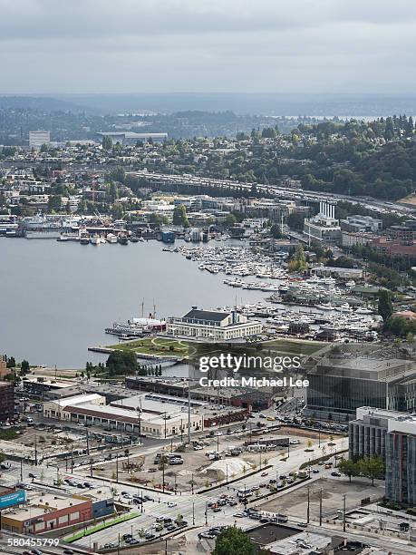 south lake union - leeuw stock pictures, royalty-free photos & images