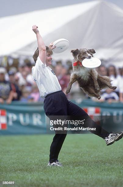 Dog leaps up to catch a frisbee tossed by its owner during the Purina Incredible Dog Challenge at the South Fork Ranch in Dallas, Texas.Mandatory...