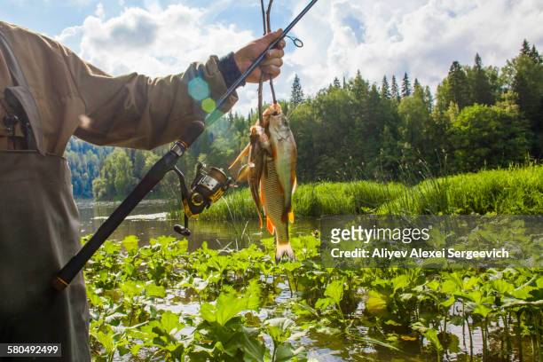 mari fisherman holding caught fish at rural river - fang stock-fotos und bilder