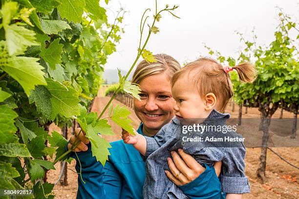 caucasian mother and daughter admiring vine in vineyard - healdsburg stock-fotos und bilder