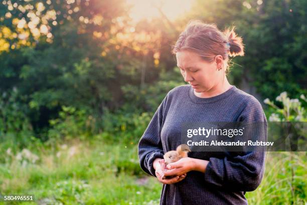 caucasian woman holding chick in garden - küken stock-fotos und bilder