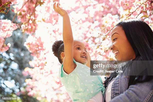 mother and daughter under flowering tree in park - flower etnic stock pictures, royalty-free photos & images